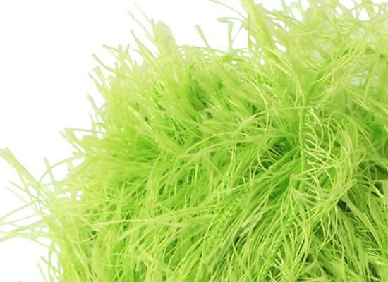 Wool yarn, Ulbehi Yarn, Lime Green, 50g [uysd-004A53] 